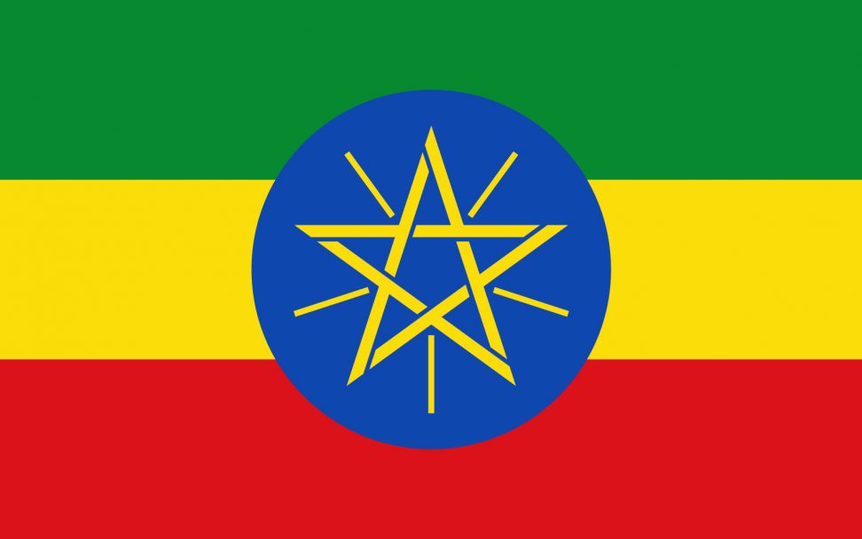 Online-Diskussion: Äthiopien am Scheideweg?